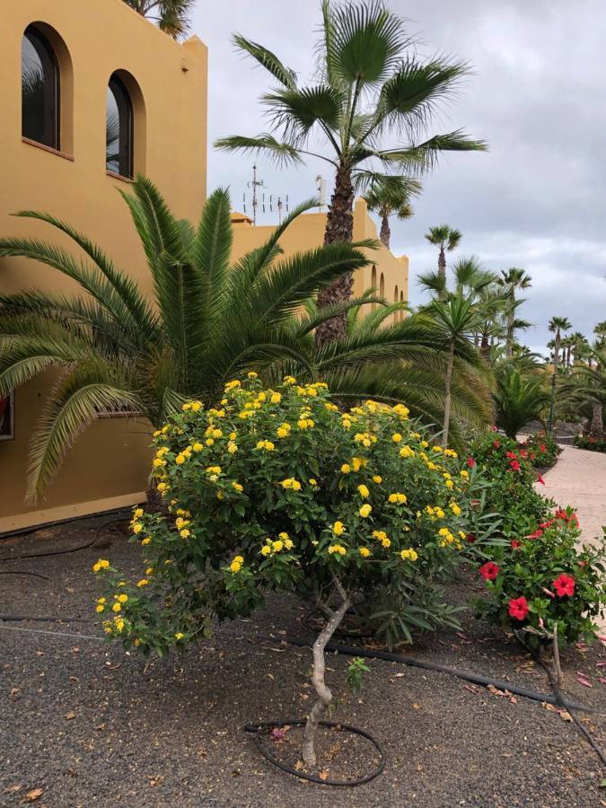 Ferienwohnung Casa Molly Corralejo Exterior foto